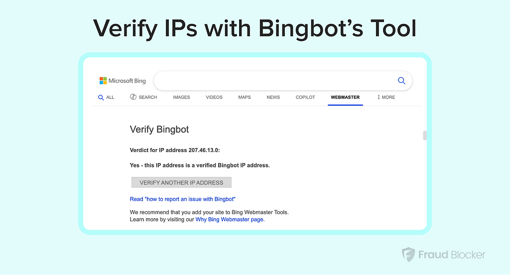screenshot of bingbot IP verification tool in action